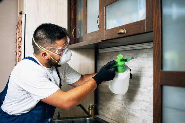 Best Wildlife Control Services  in Concord, NH