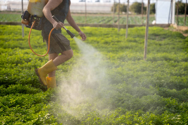 Best Pest Control for Homes  in Concord, NH