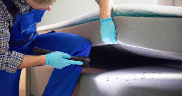 Best Pest Control Near Me in Concord, NH